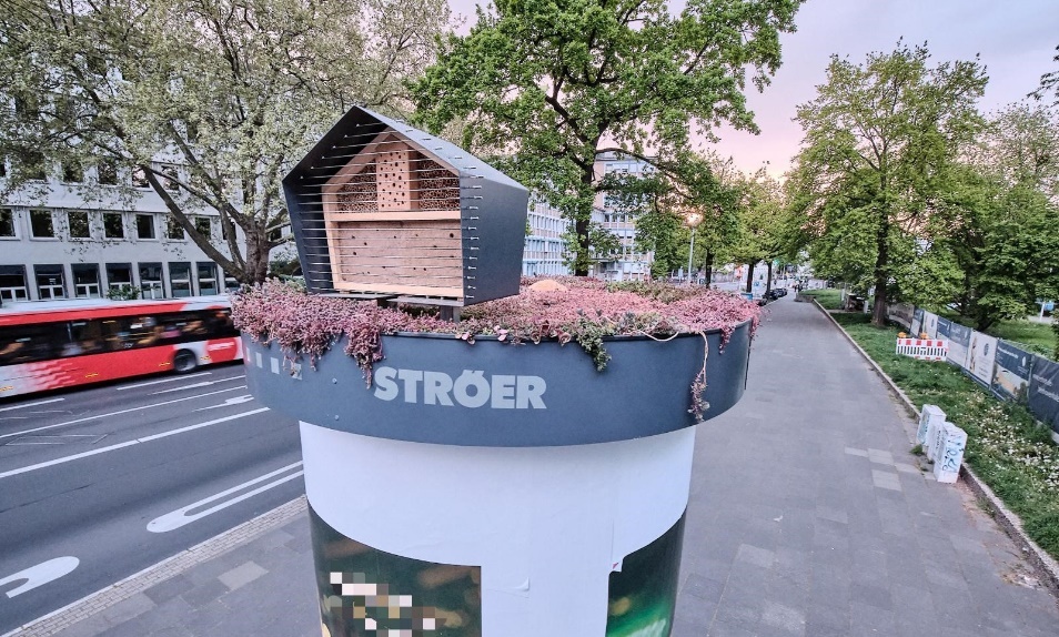 Blick auf ein bepflanztes Dach mit einem kleinen, hölzernen Insektenhotel.